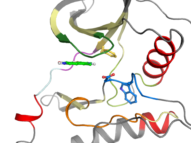 The orthosteric binding pocket