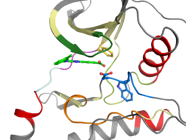 The orthosteric binding pocket