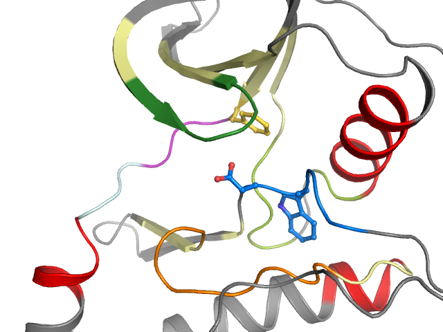 The orthosteric binding pocket