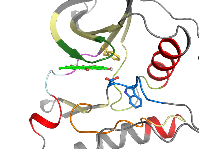 The orthosteric binding pocket