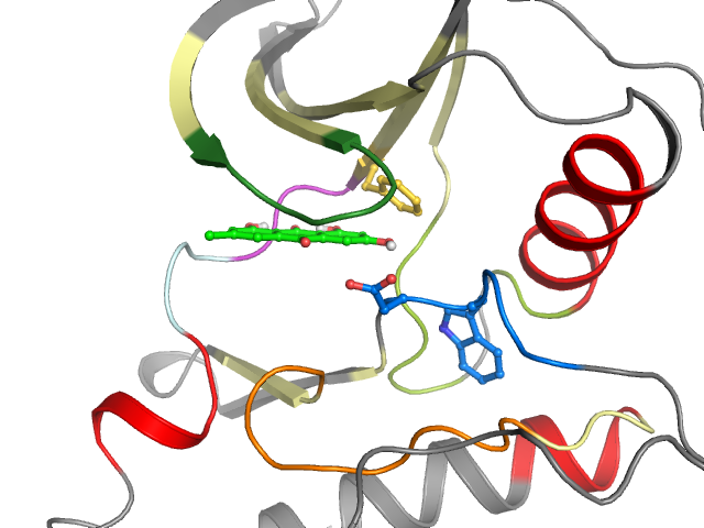The orthosteric binding pocket