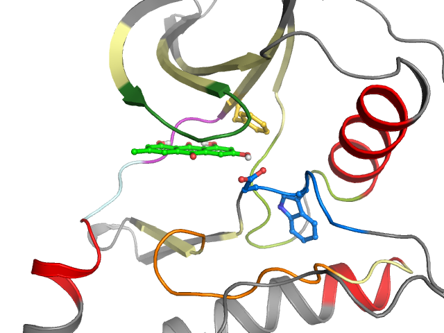 The orthosteric binding pocket