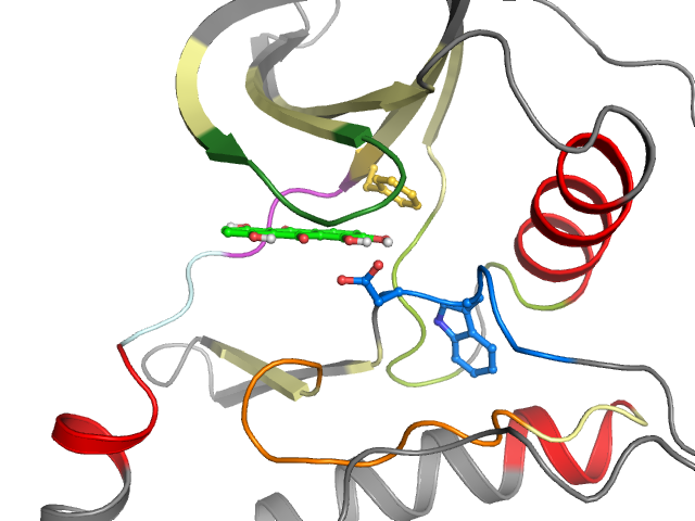 The orthosteric binding pocket