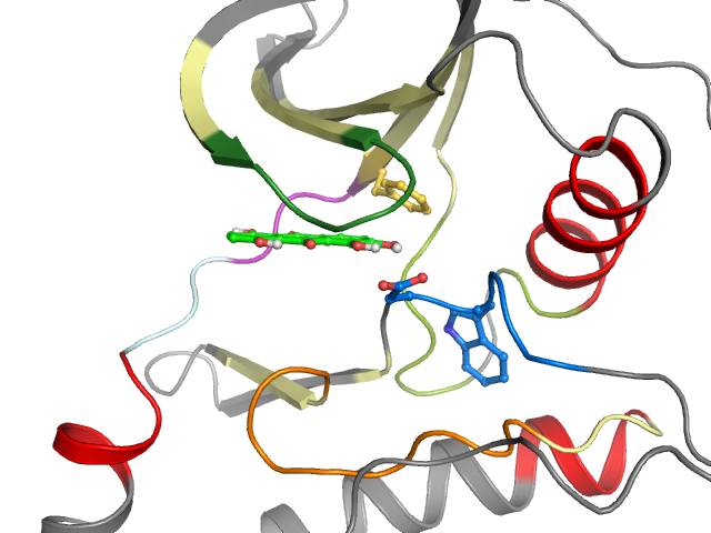 The orthosteric binding pocket