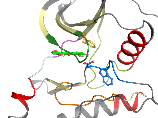 The orthosteric binding pocket