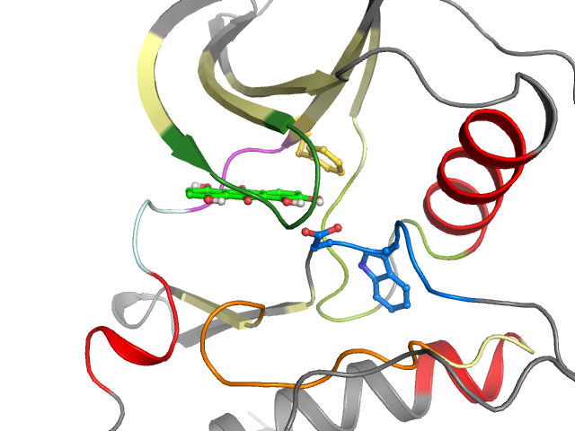 The orthosteric binding pocket
