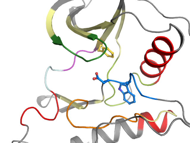The orthosteric binding pocket