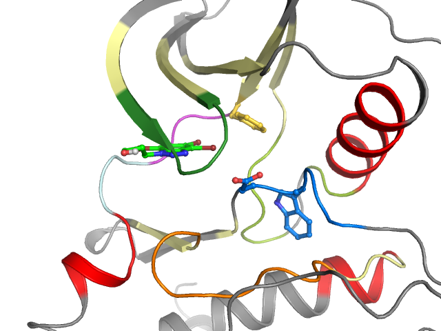 The orthosteric binding pocket