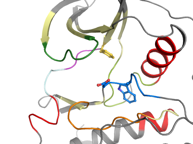 The orthosteric binding pocket