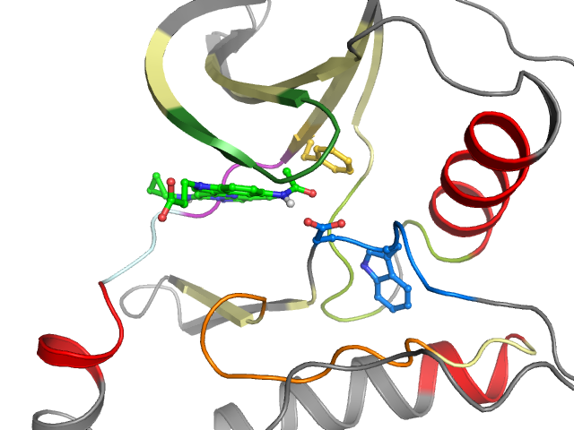 The orthosteric binding pocket