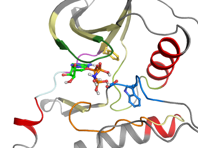 The orthosteric binding pocket