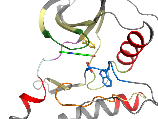 The orthosteric binding pocket