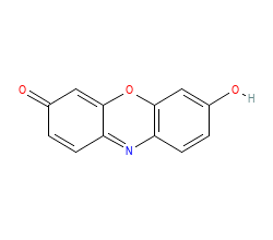 2D structure of the orthosteric ligand