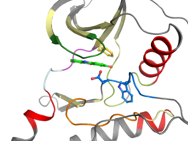 The orthosteric binding pocket