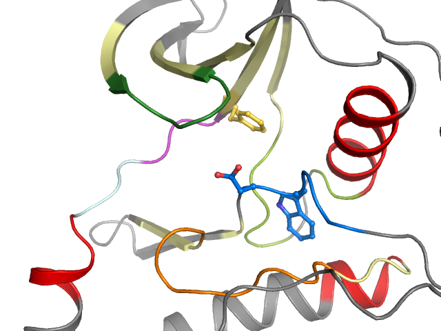 The orthosteric binding pocket