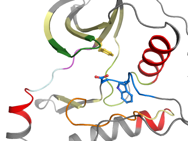 The orthosteric binding pocket