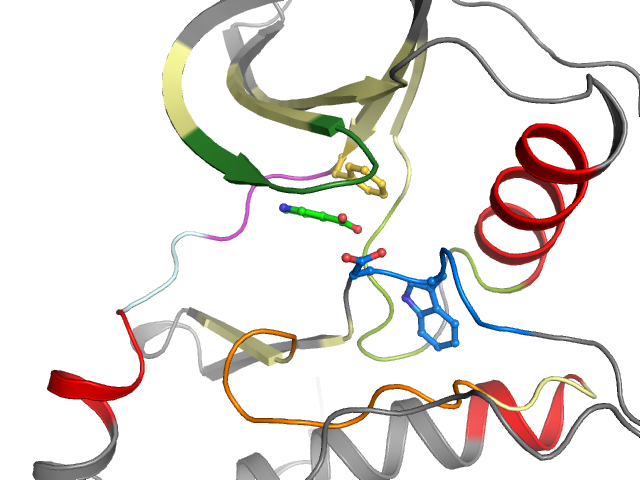 The orthosteric binding pocket