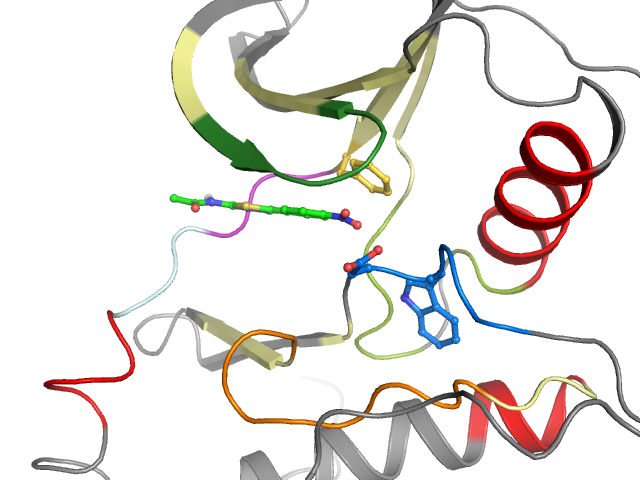 The orthosteric binding pocket