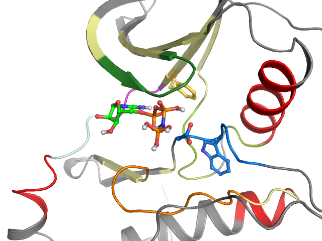 The orthosteric binding pocket