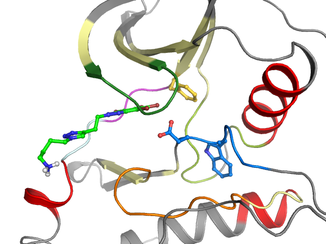 The orthosteric binding pocket