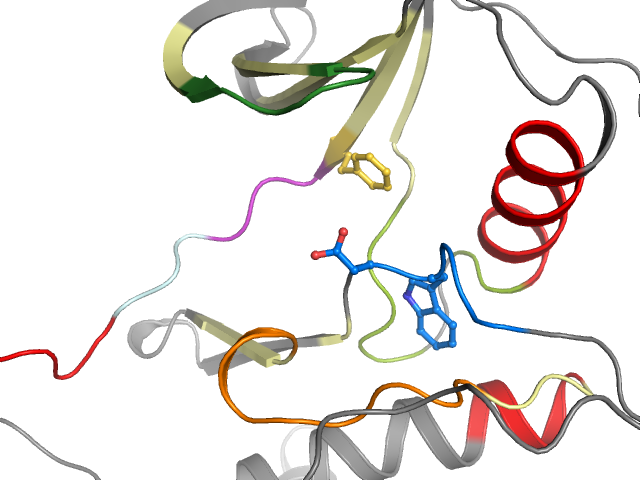 The orthosteric binding pocket