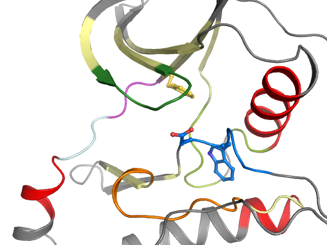 The orthosteric binding pocket