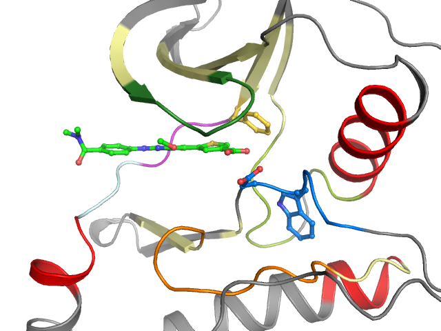The orthosteric binding pocket