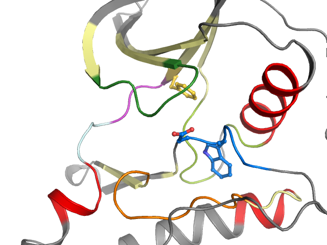 The orthosteric binding pocket