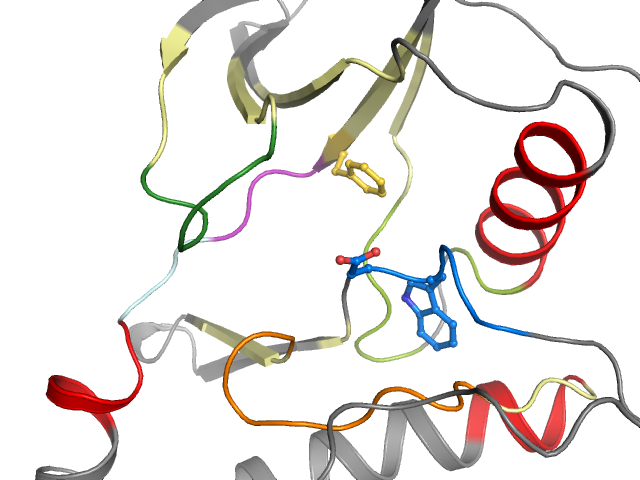 The orthosteric binding pocket