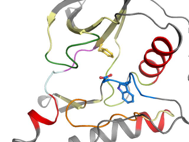 The orthosteric binding pocket