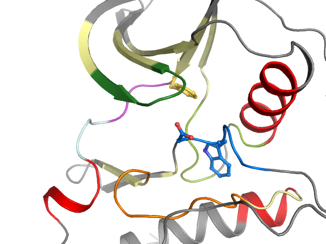 The orthosteric binding pocket