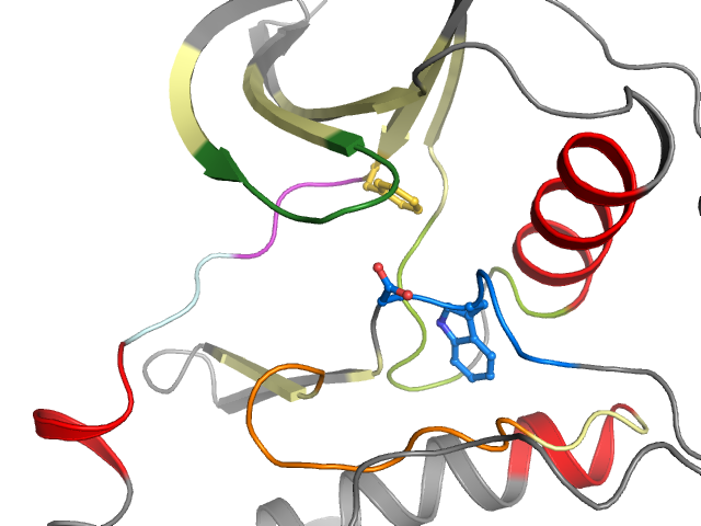 The orthosteric binding pocket