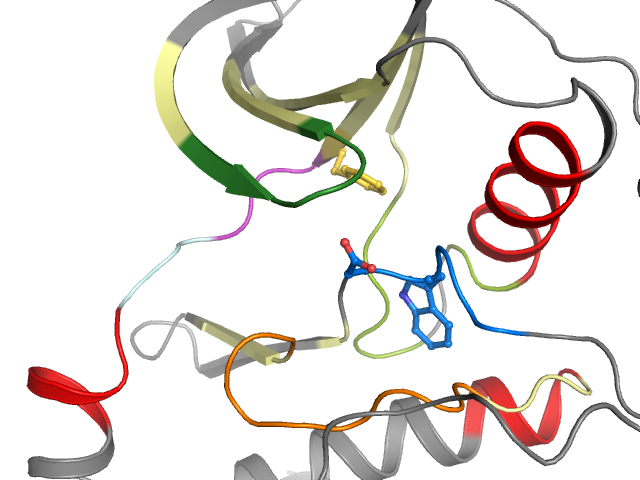 The orthosteric binding pocket