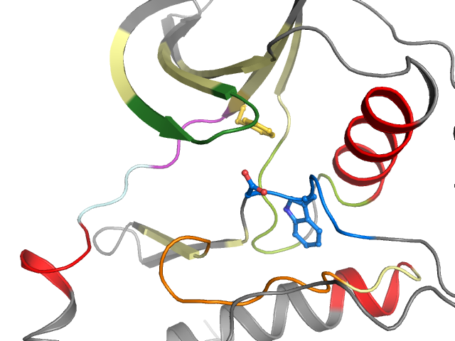 The orthosteric binding pocket