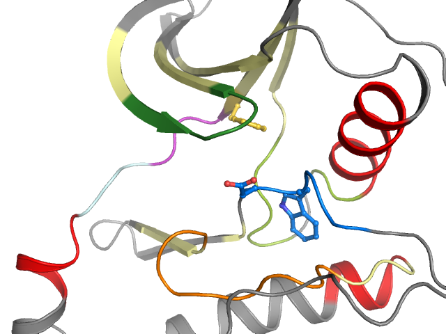 The orthosteric binding pocket