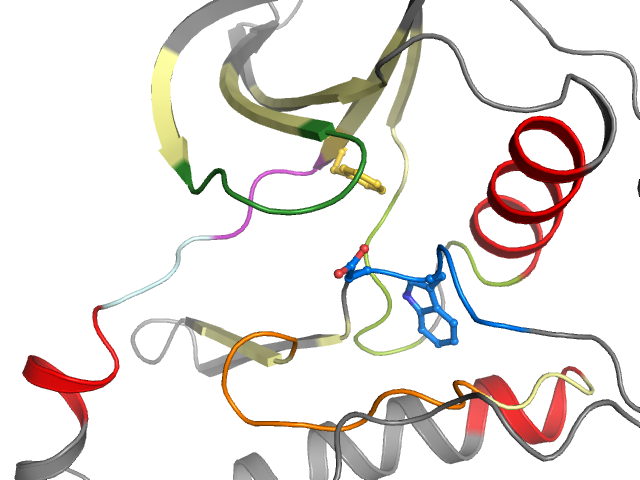The orthosteric binding pocket