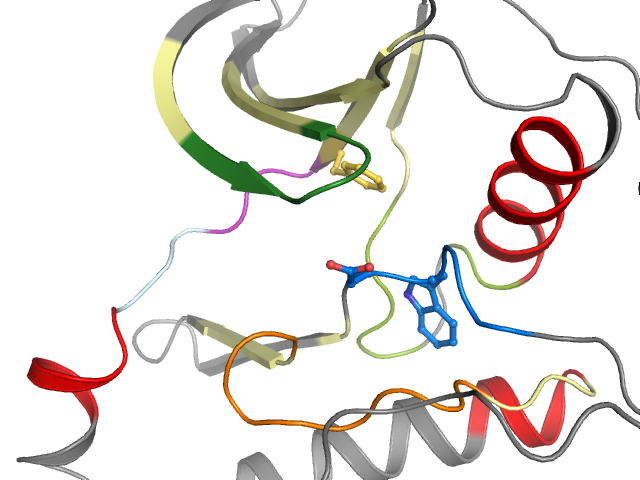 The orthosteric binding pocket