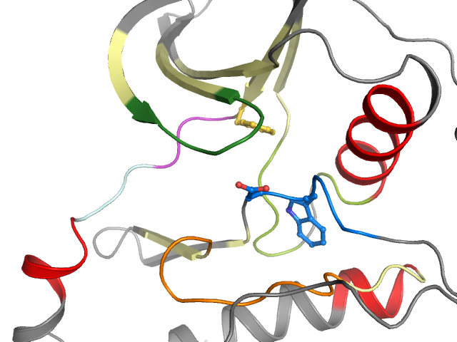 The orthosteric binding pocket