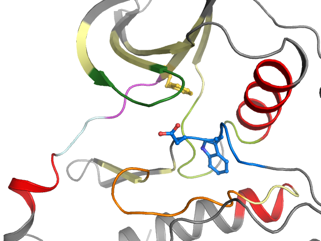The orthosteric binding pocket