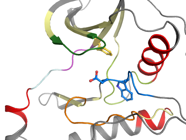 The orthosteric binding pocket