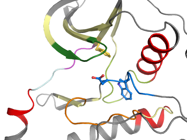 The orthosteric binding pocket