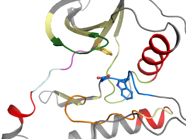 The orthosteric binding pocket