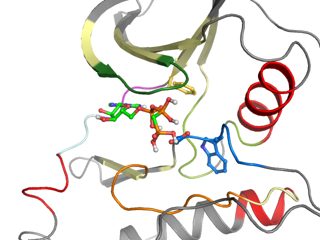 The orthosteric binding pocket