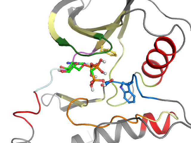 The orthosteric binding pocket