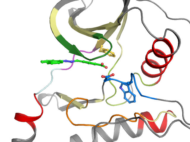 The orthosteric binding pocket