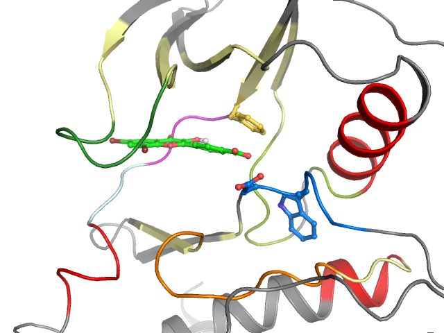 The orthosteric binding pocket