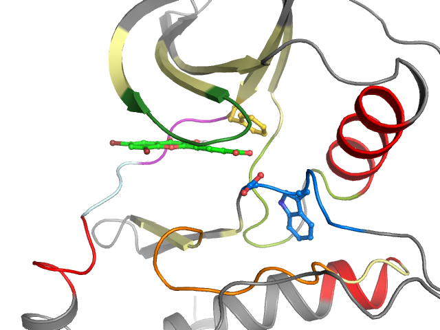 The orthosteric binding pocket