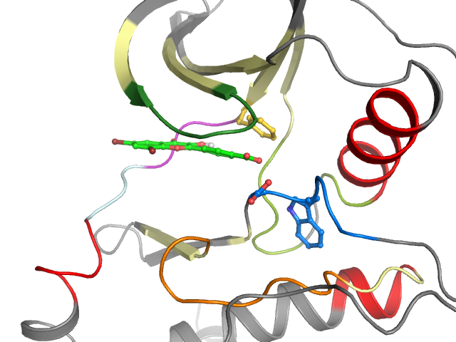 The orthosteric binding pocket