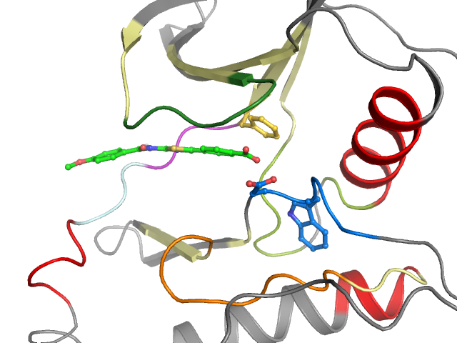 The orthosteric binding pocket