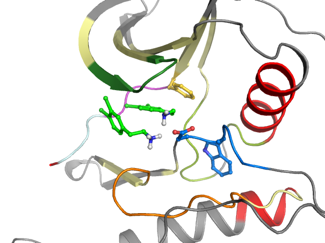 The orthosteric binding pocket